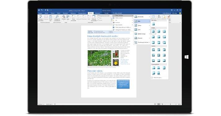 Microsoft Office 2016 Professional License - Microsoft